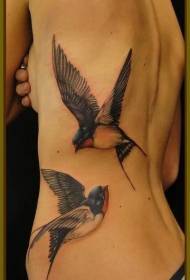 indietro Modello realistico di tatuaggio con rondine di colore