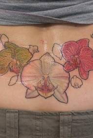 juosmens skirtingų spalvų orchidėjų tatuiruotės modelis