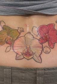 modèle de tatouage d'orchidée de couleur différente de taille