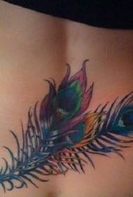 Modello di tatuaggio colorato piuma di pavone bella vita