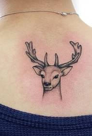 tatuaggio di cervi bella moda