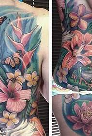 folslein lily tatoetmuster