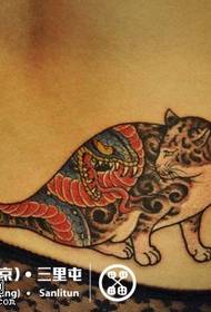 Colore posteriore al modello di tatuaggio del gatto
