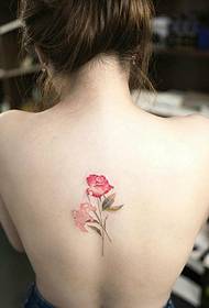 Akanaka akachena 皙 nude nude safflower tattoo