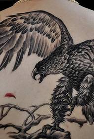 Орао орао крила згодан тетоважа леђа орао
