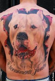 patrón de tatuaxe de can lindo de costas masculinas 78514 - patrón de tatuaje de medio diaño en contraste de medio amigo