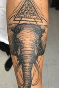 腕のタトゥー素材、男性の腕、三角形と象のタトゥー画像
