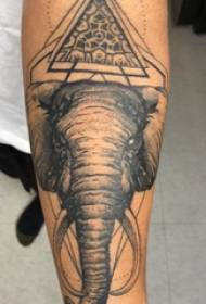 Arm Tattoo Material, männlecht Aarm, Dräieck an Elefant Tattoo Bild