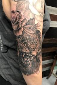 Tang lion tatuazh mashkull student i modelit të krahut të tatuazhit të luanit