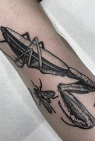 螳螂 braço de menino com padrão de tatuagem em preto picture foto de tatuagem