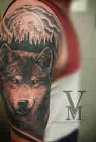 Lobo tatuagem braço do menino na cabeça de lobo tatuagem padrão