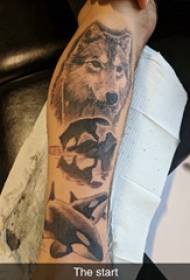 Baile animale tatuaggio maschio studente braccio sulla testa di lupo e foto tatuaggio balena