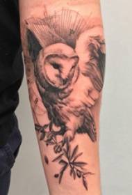 Tattoo owl მამრობითი სქესის სტუდენტური მკლავი მცენარეზე და owl tattoo სურათზე
