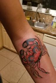 Krabų tatuiruotės modelio vyriškas krabas ant spalvoto krabų tatuiruotės paveikslėlio
