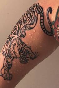 Tiger a kvetina tetovanie vzor školák chlapec rameno a tigrie tetovanie obrázok