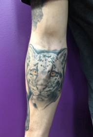 Arm tatoveringsbilde guttefarget leopard tatoveringsbilde på armen