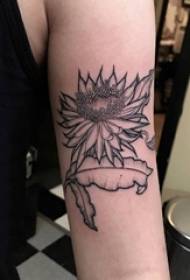 Gacanta gabadh gacmeedka gacanta taranka sawirka tattoo qorrax madow