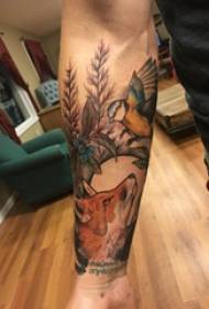 小動物紋身男孩的手臂上的鳥和狐狸紋身圖片