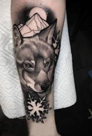 Braço de estudante do sexo masculino tatuagem de lobo na imagem de animal de tatuagem de lobo