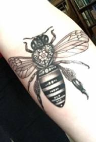 Animalia tatuaje txiki bat bee beltzaren tatuaje argazkia besoan