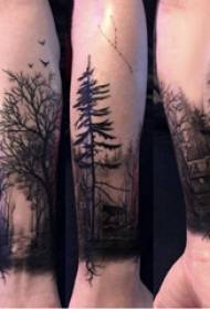 Braț material tatuaj, braț masculin, clădire și imagine mare tatuaj copac