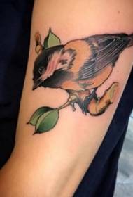 鳥のタトゥーパターンの女の子の腕に鳥のタトゥーパターン