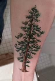 foto tatuazh krahu krahu i djalit të shkollës mbi ngjyrën e tatuazhit me pemë të mëdha tatuazhesh