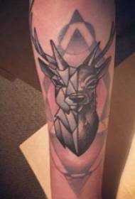Geometric animal tattoo male student arm on black deer tattoo picture