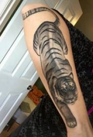 Tiger totem tatuazh vajzë krah tatuazh tigër tatuazh totem foto tatuazh
