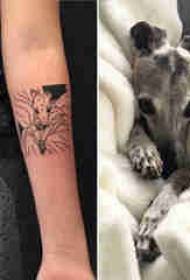 Domus animalis animalis tattoos Threicae picturae geometricarum puella super brachium eius