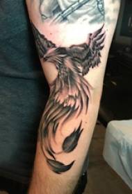 Tattoo Phoenix արական ուսանող թևը սև ֆենիքսի դաջվածքի նկարում