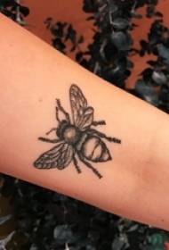 U tatuu di l'abeja fucile girly piccula figura di l'animali di u tatuu nantu à u bracciu