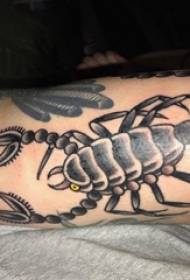 Tattoo Scorpion, gacanta lab, sawirka timo garaaca madow