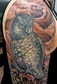 Moshanyana oa tattoo oa owl holim'a letsoho la owl totem setšoantšo sa tattoo