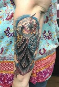 Tattooed Owl Girl- ის მკლავი შეღებილი Owl Tattoo Picture