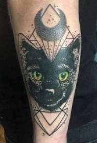 Fotos de tatuagem de braço, braço masculino, lua e gato