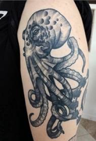Маленькі звярок татуіроўкі шаблон мужчынскага вучня на малюнку татуіроўкі чорнага васьмінога