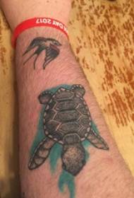 Pattu di tatuaggi di tartaruga dipinta stampa di tatuaggi di turtle in bracciu di u zitellu