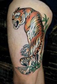 Tatuaggio tigre, braccio maschile, foto tatuaggio tigre
