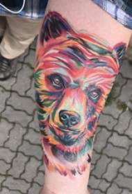 Tatuaggio dell'orso, orso maschio, foto del tatuaggio dell'orso colorato