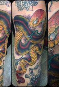 Modello di tatuaggio di serpente e braccio Ragazzo di scuola con immagine di tatuaggio dipinto di serpente e braccio