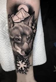 Fox tattoo slika dječakova ruka na snježnoj slici i fox tattoo slika