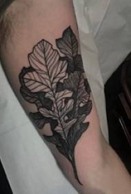 Materiali i tatuazhit të krahut, fotografia e krahut mashkull, tabletë me tatuazhe të gjetheve të zeza