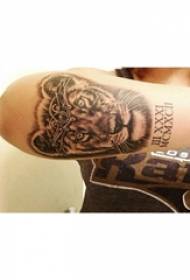 Gambar lengan tato gadis lengan pada gambar tato Inggris dan harimau