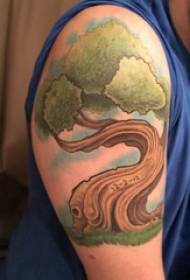 Tattoo vejice fant orožijo na barvnih par slik vejice tatoo