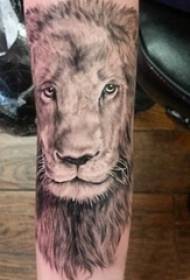 Црно сива реалистична тетоважа машки студентски рака на црна сива лавовичка слика за тетоважа