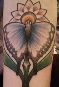 Braccio della ragazza del modello del tatuaggio del fiore di farfalla sul modello del tatuaggio del fiore di farfalla