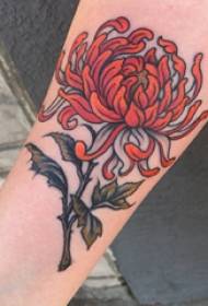 Tattoo cailín patrún daisy daite chrysanthemum tattoo pictiúr ar lámh