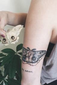Butterfly tattoo illustration girl butterfly tattoo picture on arm