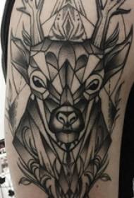 Elk gevir tatovering mannlig student arm hjort gevir tatoveringsbilde
